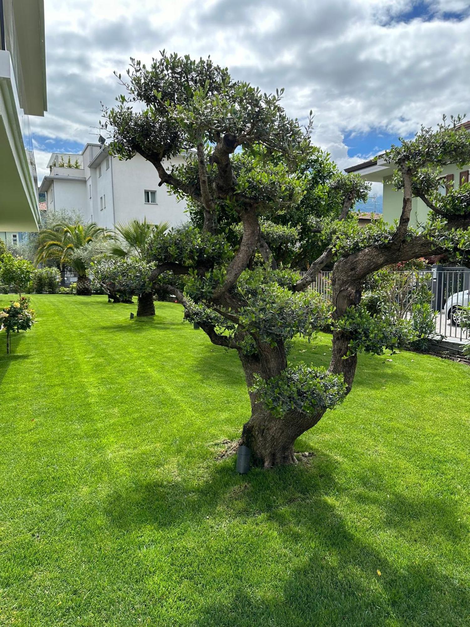 Residence Villa Dalila - Appartamento Dalila Riva del Garda Kültér fotó